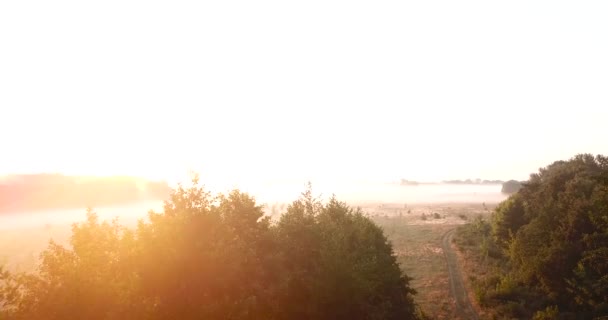 Vista aérea do prado coberta com nevoeiro ao amanhecer. Ucrânia — Vídeo de Stock