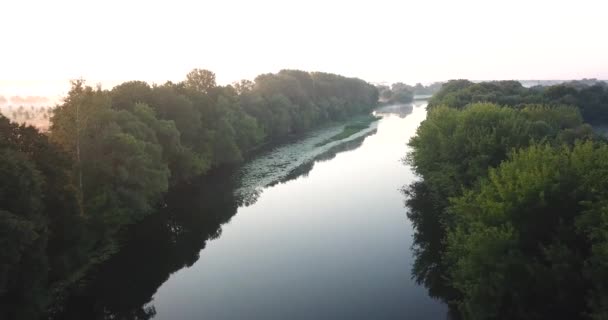 Letecký pohled na louku a řeku pokryté mlhy za svítání. Ukrajina — Stock video