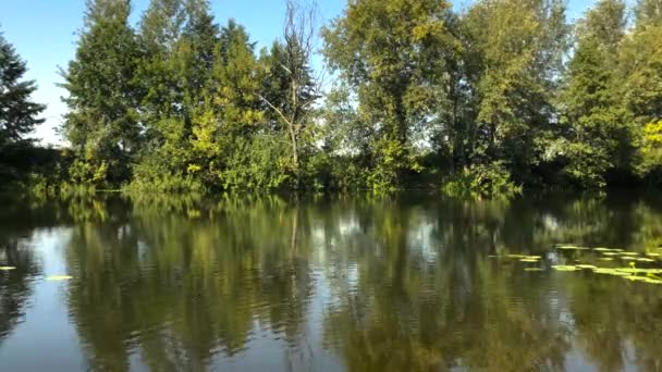 Vue imprenable sur la rivière par une journée d'été ensoleillée et claire et reflet des arbres dans l'eau. Ukraine 