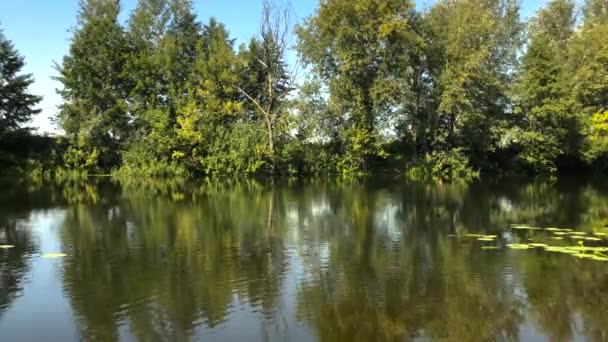 Vista temporal del río en un claro día soleado de verano y reflejo de los árboles en el agua. Ucrania — Vídeos de Stock