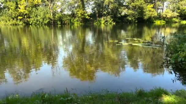 Zeitraffer-Ansicht des Flusses an einem klaren, sonnigen Sommertag und Reflexion der Bäume im Wasser. Ukraine — Stockvideo