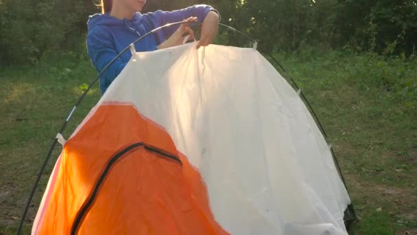 Mulher está colocando uma tenda turística na floresta — Vídeo de Stock