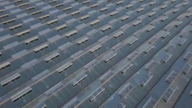 Sera görünümünü. Doğal ve taze meyve ve sebze organik tarımı