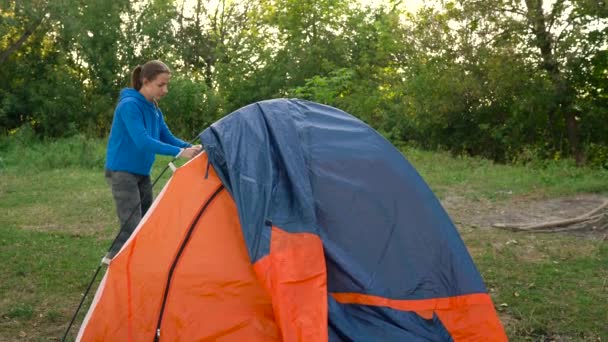 Vrouw zet een toeristische tent in het bos — Stockvideo