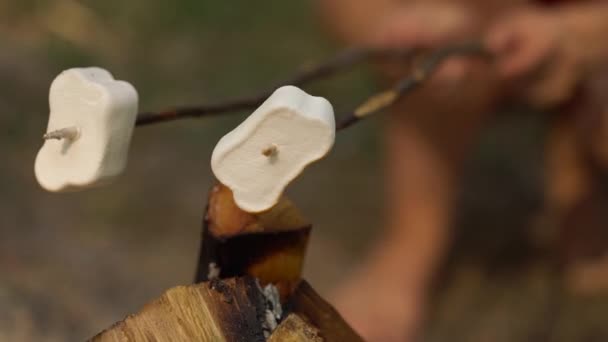 Les guimauves font frire, rôtissant sur les bâtons au-dessus du feu de joie, à l'extérieur — Video