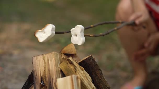 Marshmallow estão fritando, assando nas varas acima da fogueira, ao ar livre — Vídeo de Stock