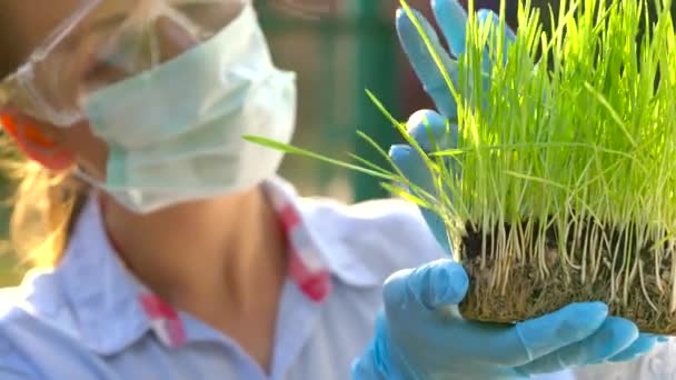 Mulher agrônomo em óculos e uma máscara examina uma amostra de solo e plantas — Vídeo de Stock