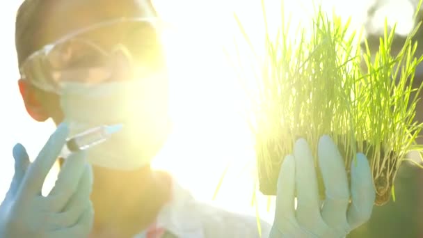 Agronomin mit Schutzbrille und Maske untersucht eine Boden- und Pflanzenprobe — Stockvideo