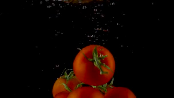 Red tomatoes fall and float in water, black background. Slow motion — Stock Video