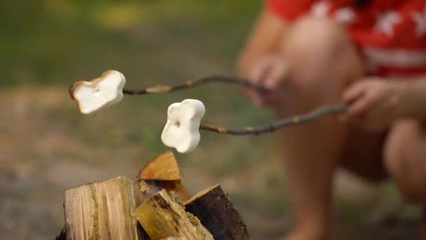 Marshmallow zijn bakken, roosteren op de stokken boven het vuur, buitenshuis — Stockvideo