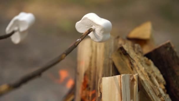 Marshmallow stekning, rostning på pinnar framför brasan, Utomhus — Stockvideo