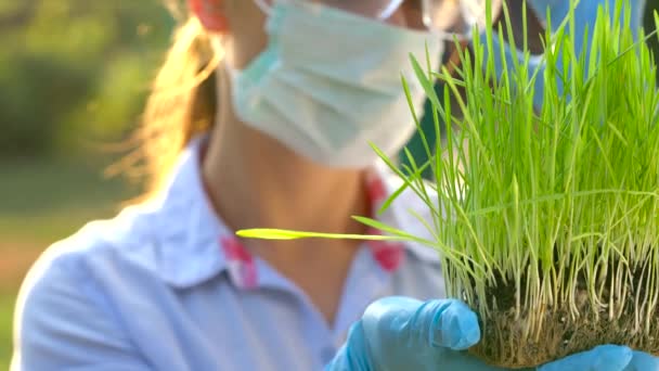 Mujer agrónoma en gafas y una máscara examina una muestra de suelo y plantas — Vídeo de stock