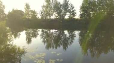 Nehirde bir açık güneşli yaz günü ve ağaçlar su yansıması. Ukrayna