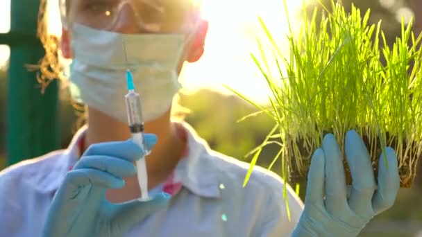 Женщина-агроном в очках и маске исследует образец почвы и растений — стоковое видео