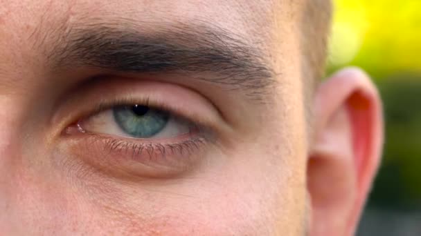 Mooie knipperende man eye close-up — Stockvideo