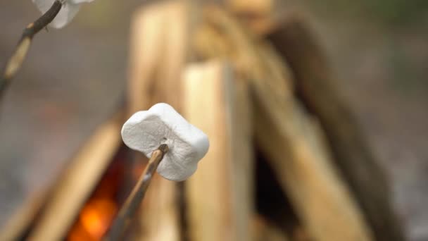 Marshmallow are frying, roasting on the sticks above the bonfire, outdoors — Stock Video