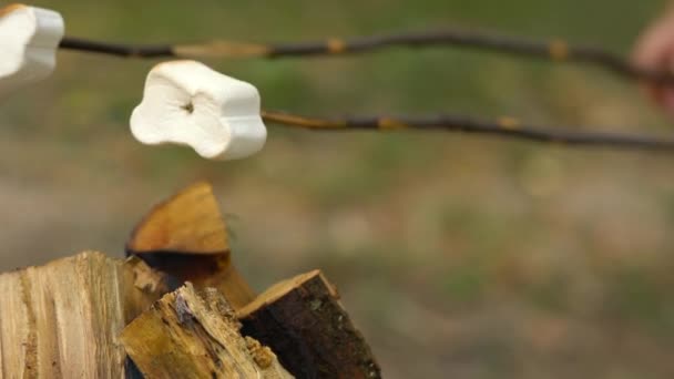 Marshmallow estão fritando, assando nas varas acima da fogueira, ao ar livre — Vídeo de Stock