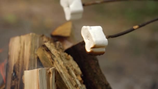 Les guimauves font frire, rôtissant sur les bâtons au-dessus du feu de joie, à l'extérieur — Video