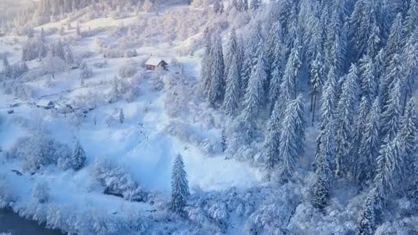 Vlucht over de besneeuwde berg naaldhout bos bij zonsondergang. Duidelijk zonnig frosty weer. Hut in de bergen, wintervakantie — Stockvideo