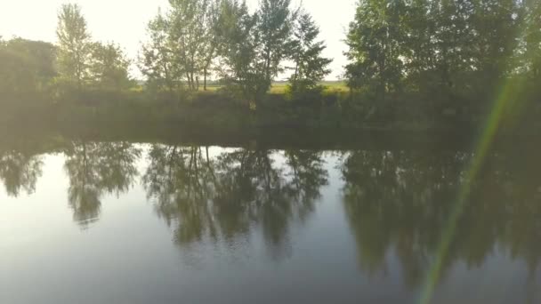 Rio em um dia de verão ensolarado claro e reflexo de árvores na água. Ucrânia — Vídeo de Stock