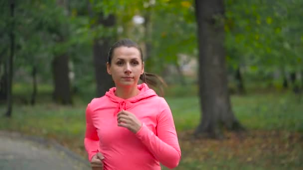 Primer plano de la mujer corriendo por un parque de otoño al atardecer — Vídeo de stock