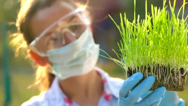 Agronomin mit Schutzbrille und Maske untersucht eine Boden- und Pflanzenprobe — Stockvideo