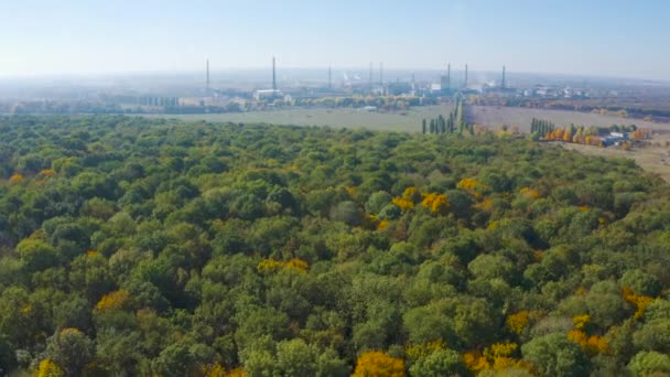 Voo rápido sobre a floresta de outono. À distância você pode ver uma planta industrial . — Vídeo de Stock