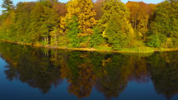 Luchtfoto van het meer en de heldere herfst bos op de oever. Forest wordt weerspiegeld op het oppervlak van het meer — Stockvideo