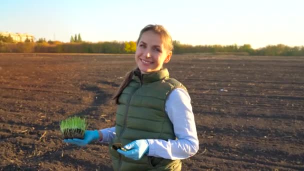 La agricultora está de pie con una muestra de plántulas en la mano a punto de plantarla en el suelo . — Vídeo de stock