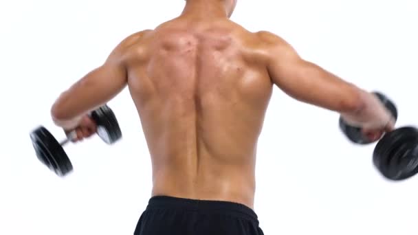 Man flexes his hands with dumbbells, training his shoulders on a white background in the studio, back view — Stock Video