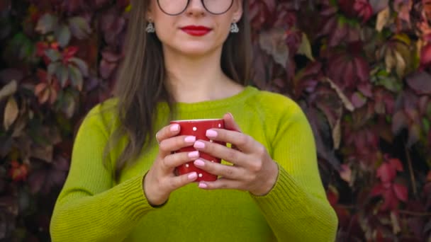 Mulher estende as mãos com uma xícara de chá ou café para a câmera. Pausa para café . — Vídeo de Stock