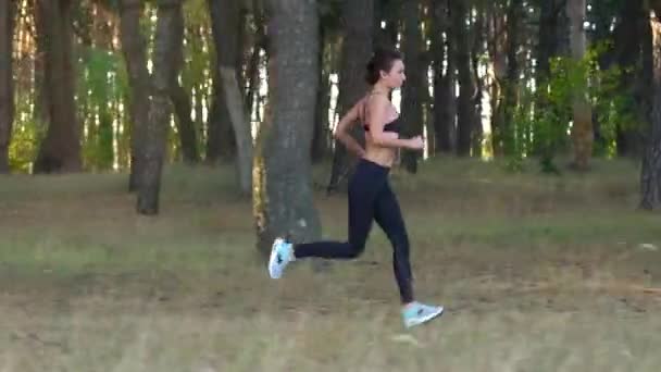 Femme sportive courant à travers une forêt d'automne. Mouvement lent — Video