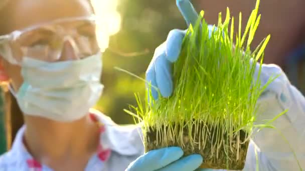 Femme scientifique en lunettes et masque examine un échantillon de terre et de plantes — Video