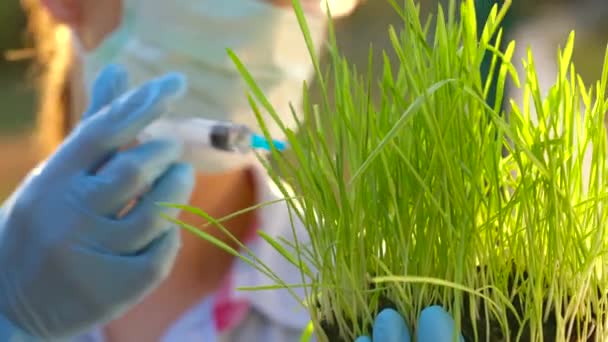 Femme scientifique en lunettes et masque examine un échantillon de terre et de plantes — Video