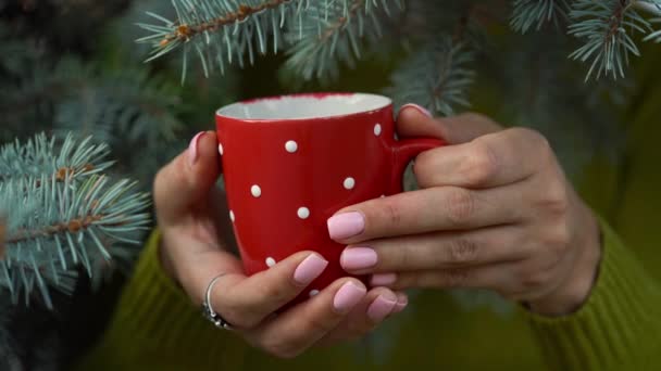 Frauenhände halten einen gemütlichen roten Becher vor dem Hintergrund von Tannenzweigen — Stockvideo