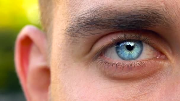 Mooie knipperende man eye close-up — Stockvideo