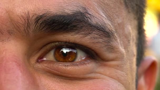 Beautiful Blinking Male Eye Close Up Stock Video C Vlad Star