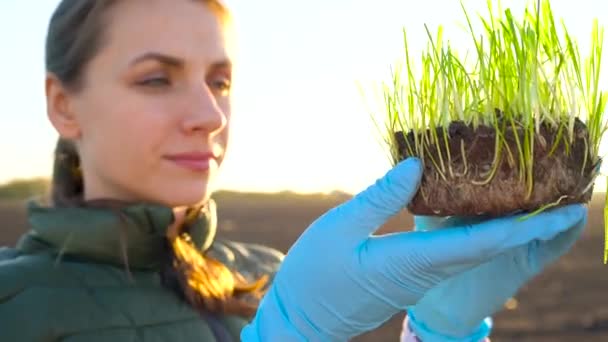 Женщина-фермер исследует образец саженцев, прежде чем посадить его в почву — стоковое видео