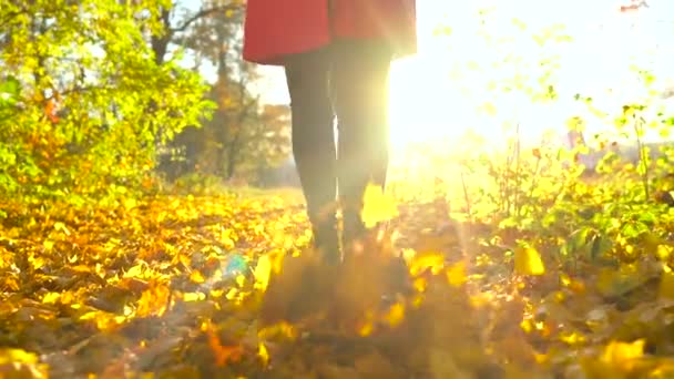 Pernas de uma mulher de botas pretas andando pela floresta de outono, folhas amarelas voam ao redor. Movimento lento — Vídeo de Stock