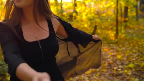 Hermosa chica sostiene la mano de su novio y lo sigue a través del bosque amarillo de otoño . — Vídeo de stock