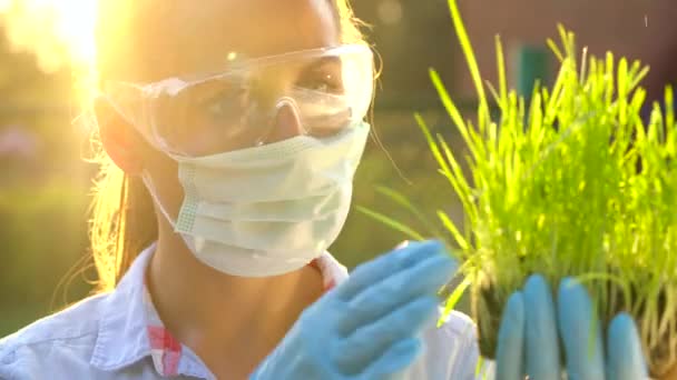 Wissenschaftlerin Mit Schutzbrille Und Maske Untersucht Eine Boden Und Pflanzenprobe — Stockvideo