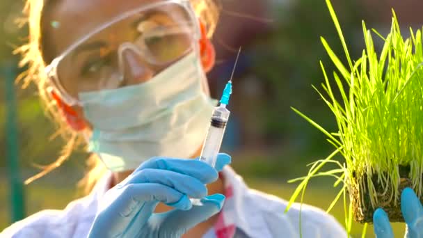 Mujer científica en gafas y una máscara examina una muestra de suelo y plantas — Vídeo de stock