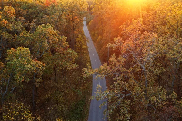 Pemandangan Udara Jalan Hutan Musim Gugur Saat Matahari Terbenam Kuning — Stok Foto