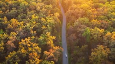 Havadan görünümü sonbahar orman yolu sürüş araba. Doğal sonbahar manzara