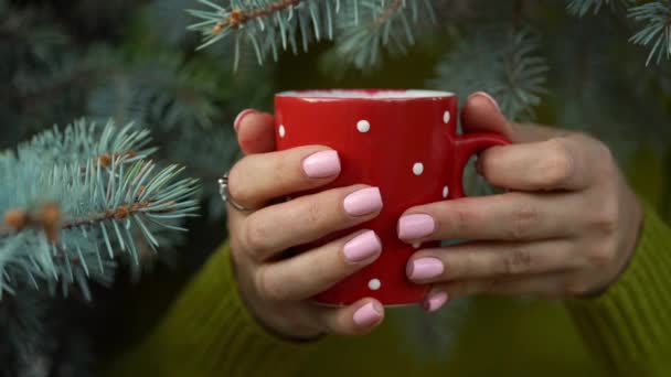 Mani donna tenendo un accogliente tazza rossa sullo sfondo di rami di pino — Video Stock