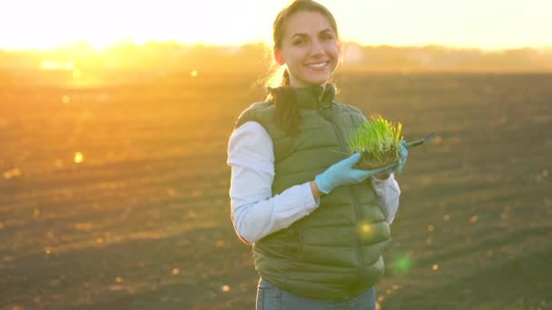 La agricultora está de pie con una muestra de plántulas en la mano a punto de plantarla en el suelo . — Vídeos de Stock