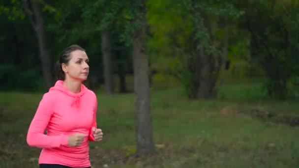 Primer plano de la mujer corriendo por un parque de otoño al atardecer — Vídeo de stock