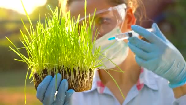Женщина-ученый в очках и маске исследует образец почвы и растений — стоковое видео