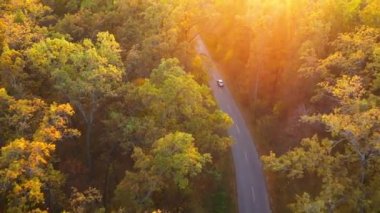 Havadan görünümü sonbahar orman yolu sürüş araba. Doğal sonbahar manzara