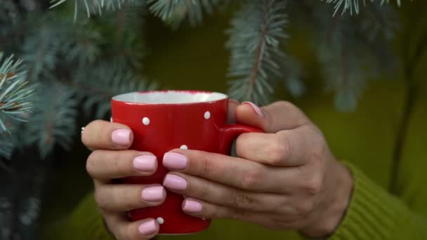 Tangan wanita memegang cangkir merah nyaman dengan latar belakang cabang pinus — Stok Video